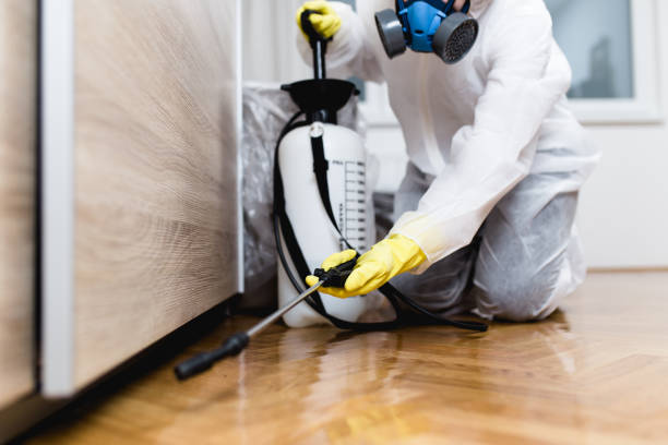 Best Pest Control Near Me in Forrest City, AR
