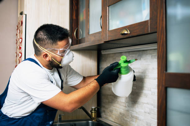 Best Pest Control for Homes  in Forrest City, AR