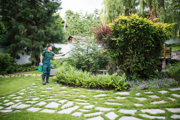 Best Pest Inspection Near Me  in Forrest City, AR