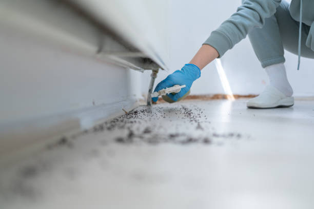Best Cockroach Control Services  in Forrest City, AR